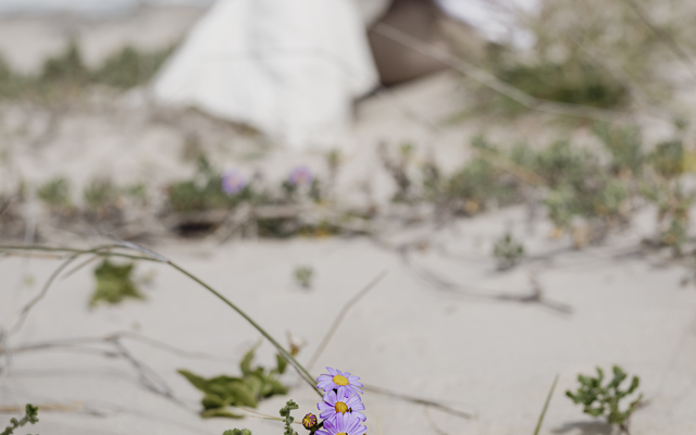 MonetteGroblerPhotography_9134_1759307513