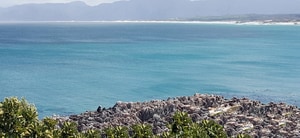 Guest Review Spotlight