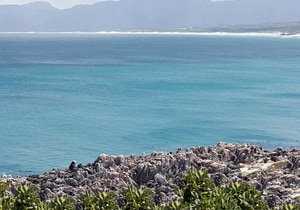 Guest Review Spotlight