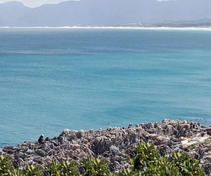 Guest Review Spotlight