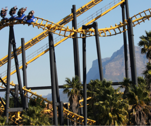 Are You Also Having a Ratanga Junction Shut Down?