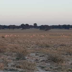 OnsVerkenDeel2_1_1759388884