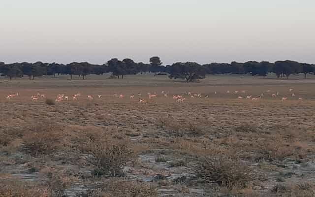 OnsVerkenDeel2_1_1759388884