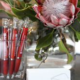 Bierman Malan Optometrists Gansbaai - Xplorio™