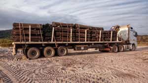 From Forest to Farm: The Art of Crafting Durable Fynbos Poles