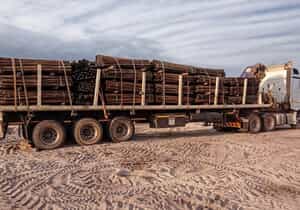 From Forest to Farm: The Art of Crafting Durable Fynbos Poles