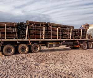 From Forest to Farm: The Art of Crafting Durable Fynbos Poles