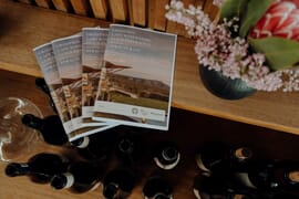 Cape Winemakers Guild Experience