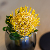 Decor - Crayfish Lodge Sea & Country Guest House - Xplorio™ Gansbaai