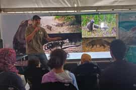 Grootbos Foundation at the Hermanus Whale Festival