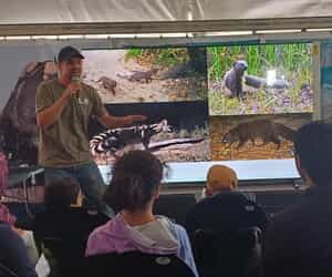 Grootbos Foundation at the Hermanus Whale Festival