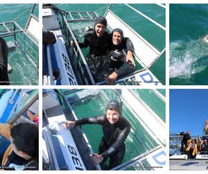 Daily Blog: 05 October 2025 | Shark Cage Diving in South Africa