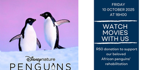 Family Movie Night at the Penguin Sanctuary