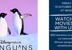 Family Movie Night at the Penguin Sanctuary
