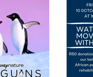 Family Movie Night at the Penguin Sanctuary