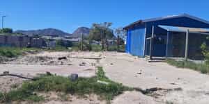 WhatsApp_Image_2025_10_09_at_08.07.30_1759992278