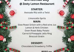 Christmas Day at The Zesty Lemon!