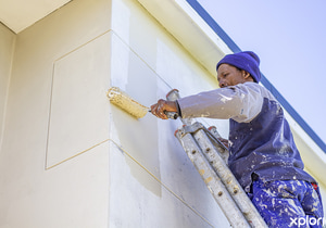 Repairs and Home Maintenance