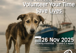 Steri-Thon: Saving Lives, Four Paws at a Time