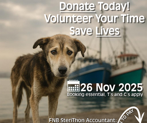 Steri-Thon: Saving Lives, Four Paws at a Time