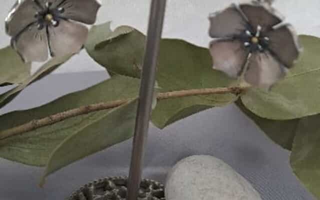 WhatsApp_Image_2025_10_09_at_14.01.12_1_1760012529