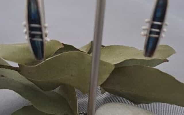 WhatsApp_Image_2025_10_09_at_14.01.13_1760012530