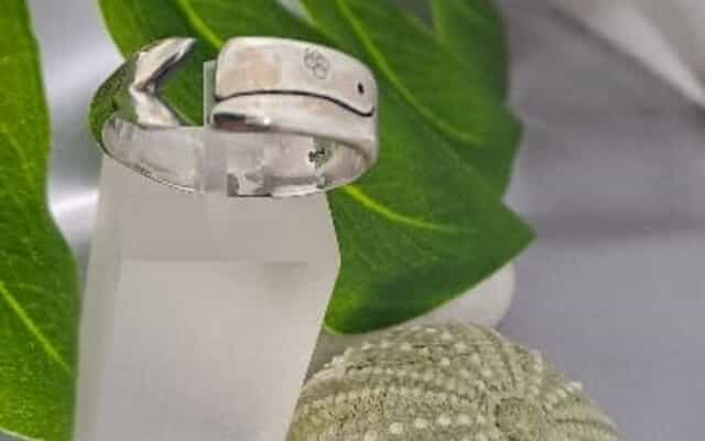 WhatsApp_Image_2025_10_09_at_14.01.16_1_1760012531