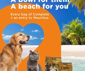 Feed Your Pet, Win Your Dream Holiday!