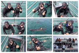 Daily Blog: 14 October 2025 | Shark Cage Diving in South Africa