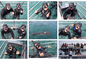 Daily Blog: 14 October 2025 | Shark Cage Diving in South Africa