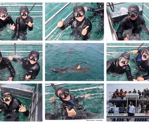 Daily Blog: 14 October 2025 | Shark Cage Diving in South Africa