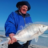 Big Steenbras - TheBeardedFisher Guided Fishing Tours - Xplorio™ Caledon