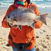 Galjoen - TheBeardedFisher Guided Fishing Tours - Xplorio™ Caledon