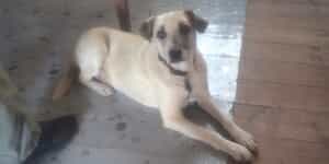 WhatsApp_Image_2025_08_19_at_18.30.12_fde05a0f_1760530121