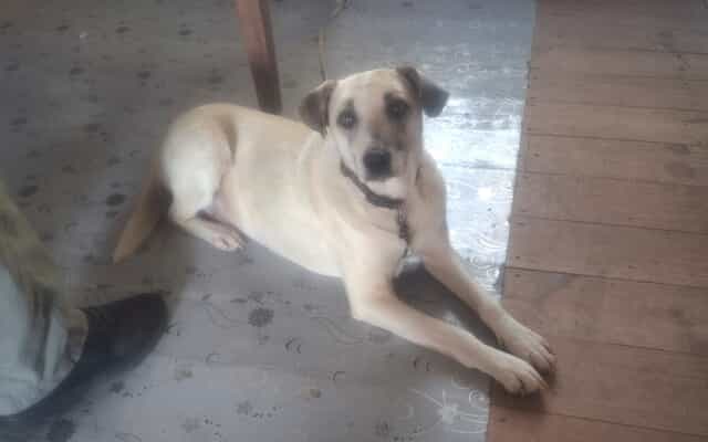 WhatsApp_Image_2025_08_19_at_18.30.12_fde05a0f_1760530121