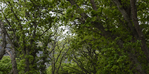 MonetteGroblerPhotography_27Sep2025_3048_1760602481