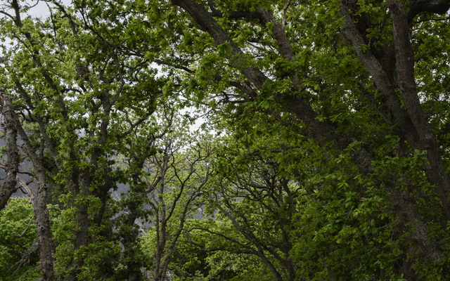 MonetteGroblerPhotography_27Sep2025_3048_1760602481