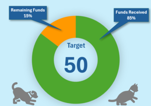 Together We Can Make a Difference