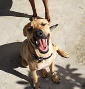 Why Your Support For Our Steri-Thon Matters