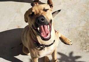 Why Your Support For Our Steri-Thon Matters