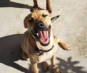 Why Your Support For Our Steri-Thon Matters