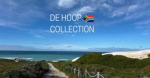 Family Adventures Await at De Hoop Collection!