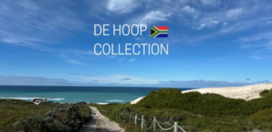 Family Adventures Await at De Hoop Collection!