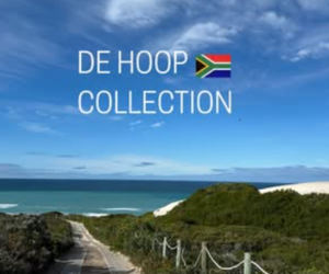 Family Adventures Await at De Hoop Collection!