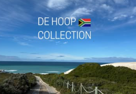 Family Adventures Await at De Hoop Collection!