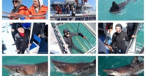 Daily Blog: 21 October 2025 | Shark Cage Diving in South Africa