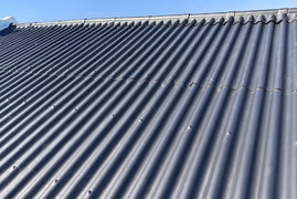 Professional Roof Painting and Restoration