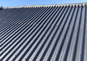 Professional Roof Painting and Restoration