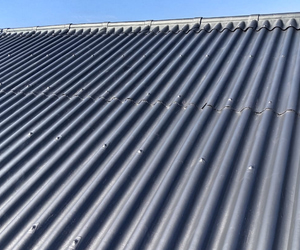 Professional Roof Painting and Restoration