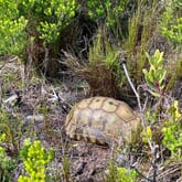 Seeff Walker Bay / Pearly Beach - Xplorio™